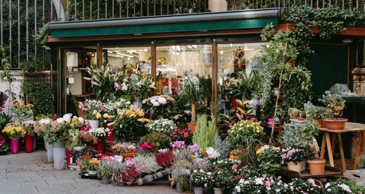 A vibrant outdoor flower market with various colorful blooms in pots and planters.